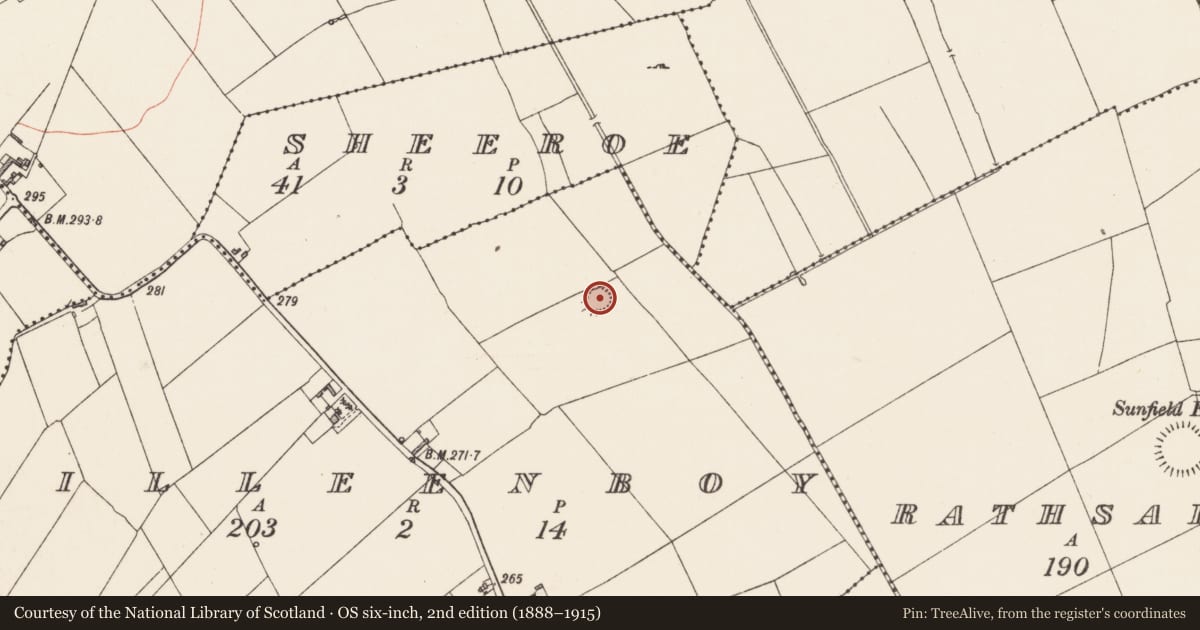 Ordnance Survey six-inch map, 2nd edition (1888–1915) covering the location of Ringfort - rath, Killeenboy, County Longford, with a pin at the register's coordinates