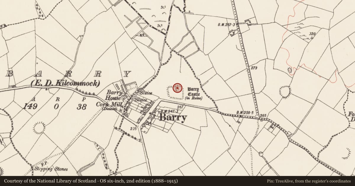 Ordnance Survey six-inch map, 2nd edition (1888–1915) covering the location of Castle - unclassified, Barry, County Longford, with a pin at the register's coordinates
