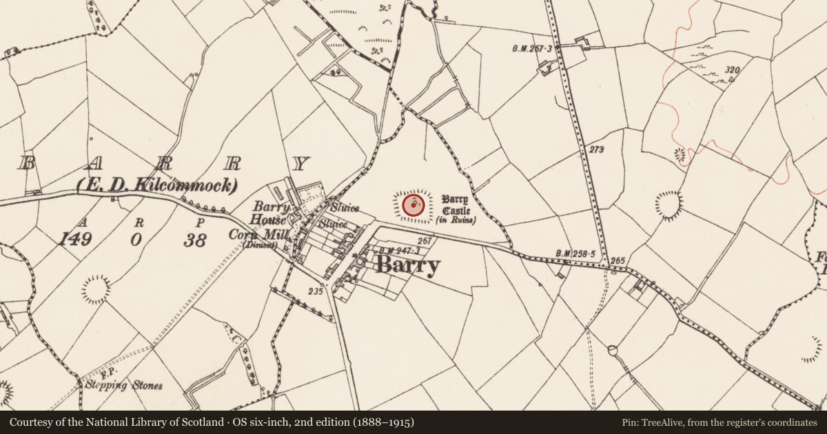 Ordnance Survey six-inch map, 2nd edition (1888–1915) covering the location of Moated site, Barry, County Longford, with a pin at the register's coordinates