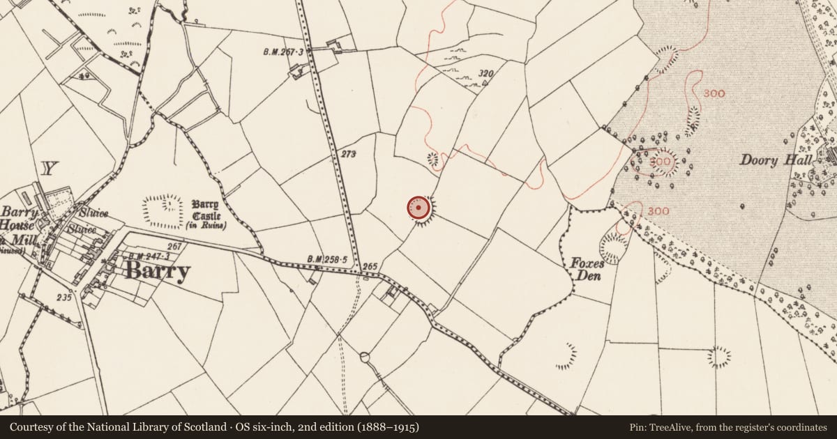 Ordnance Survey six-inch map, 2nd edition (1888–1915) covering the location of Ringfort - rath, Doory, County Longford, with a pin at the register's coordinates