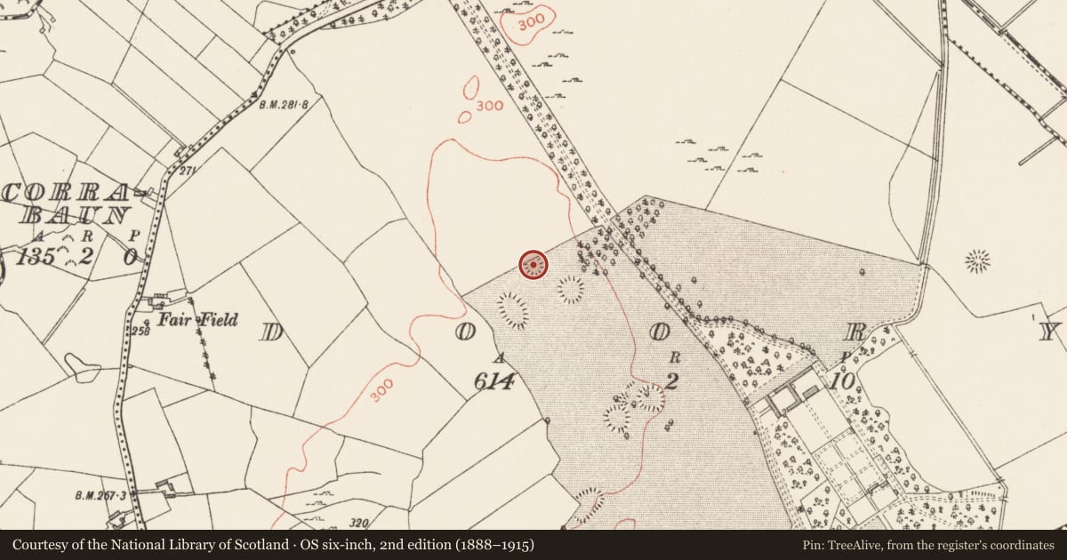 Ordnance Survey six-inch map, 2nd edition (1888–1915) covering the location of Designed landscape - tree-ring, Doory, County Longford, with a pin at the register's coordinates