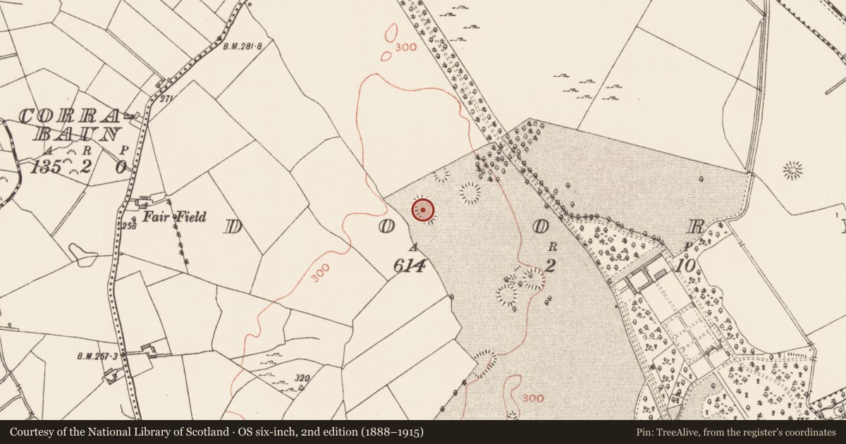 Ordnance Survey six-inch map, 2nd edition (1888–1915) covering the location of Designed landscape - tree-ring, Doory, County Longford, with a pin at the register's coordinates