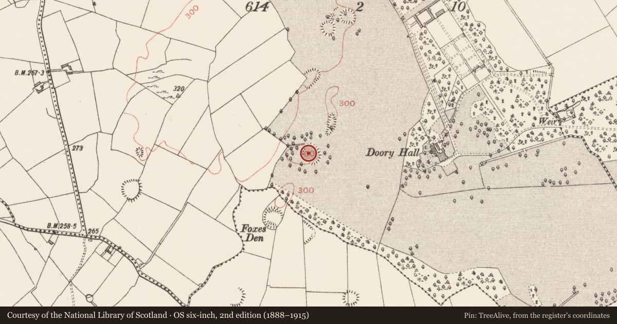 Ordnance Survey six-inch map, 2nd edition (1888–1915) covering the location of Ringfort - rath, Doory, County Longford, with a pin at the register's coordinates