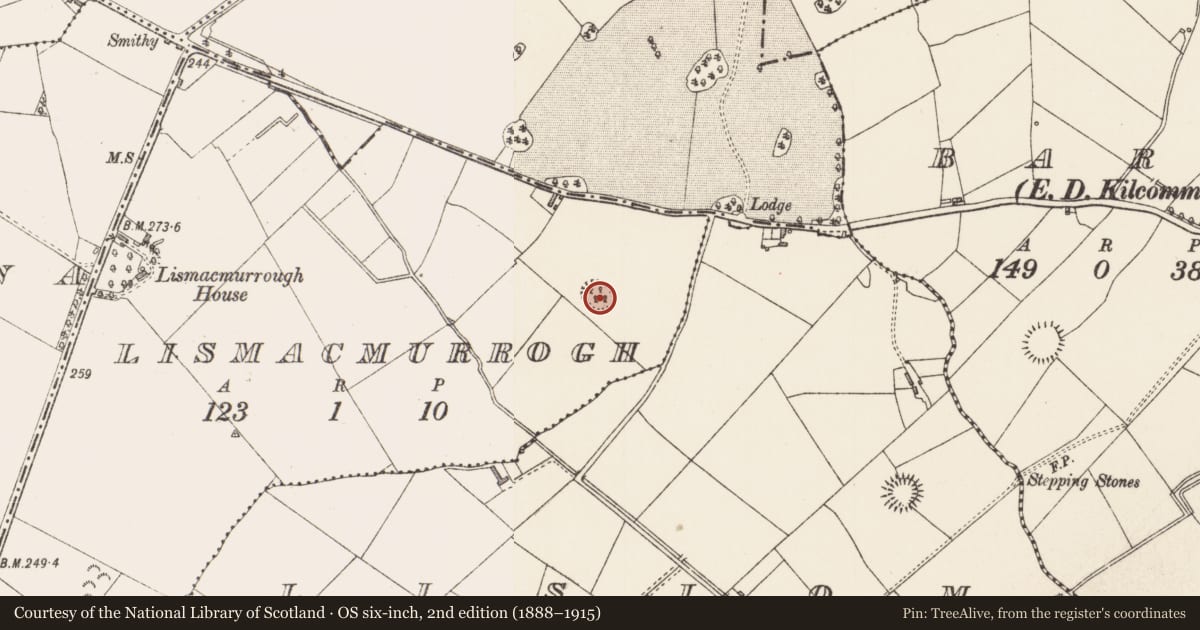 Ordnance Survey six-inch map, 2nd edition (1888–1915) covering the location of Ringfort - rath, Lismacmurrogh, County Longford, with a pin at the register's coordinates