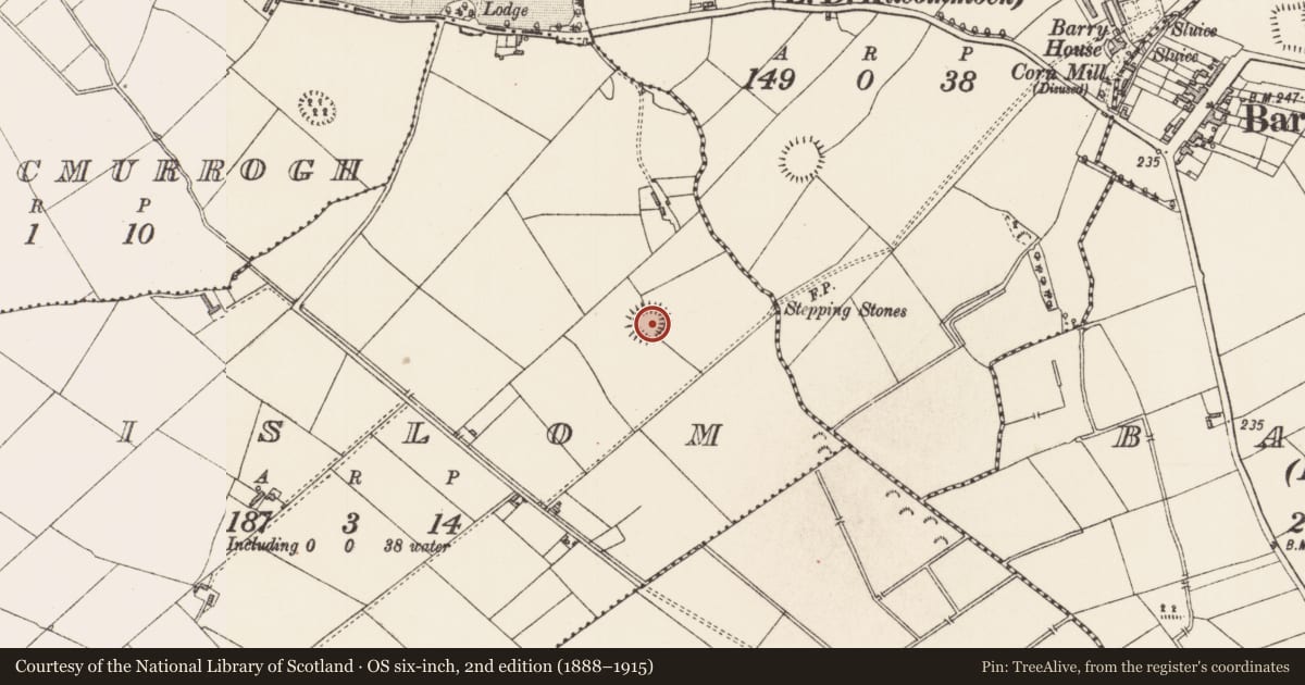 Ordnance Survey six-inch map, 2nd edition (1888–1915) covering the location of Ringfort - rath, Lislom, County Longford, with a pin at the register's coordinates