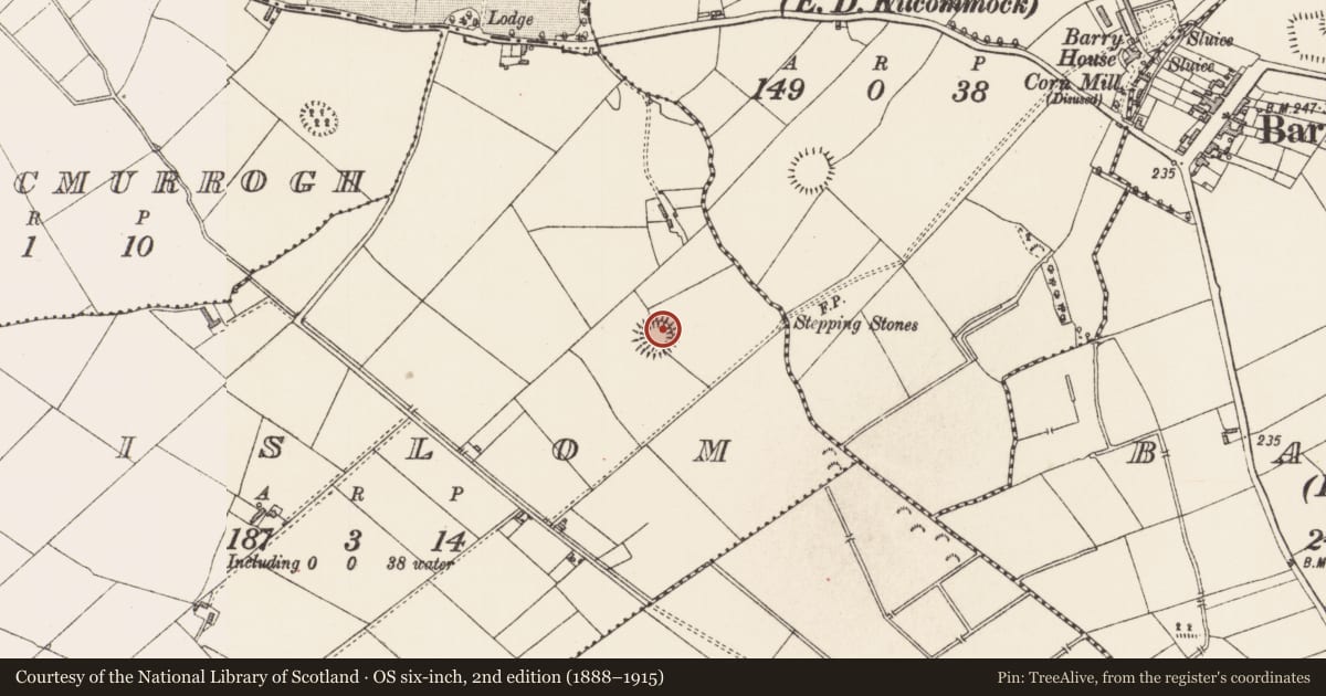 Ordnance Survey six-inch map, 2nd edition (1888–1915) covering the location of House - indeterminate date, Lislom, County Longford, with a pin at the register's coordinates