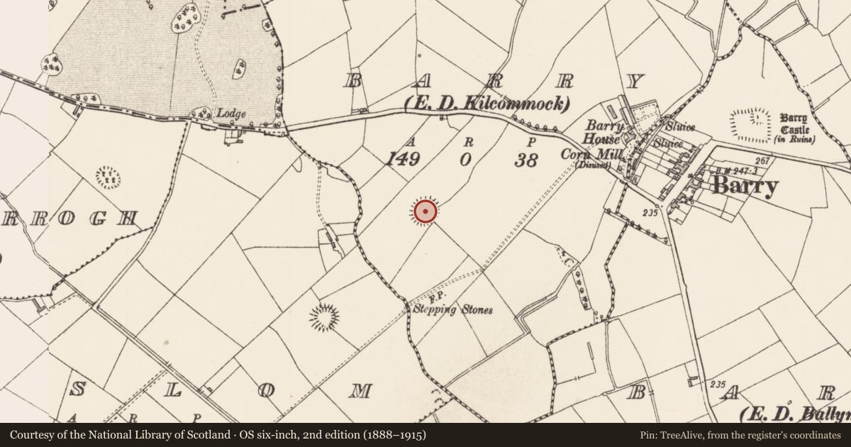 Ordnance Survey six-inch map, 2nd edition (1888–1915) covering the location of Ringfort - cashel, Barry, County Longford, with a pin at the register's coordinates