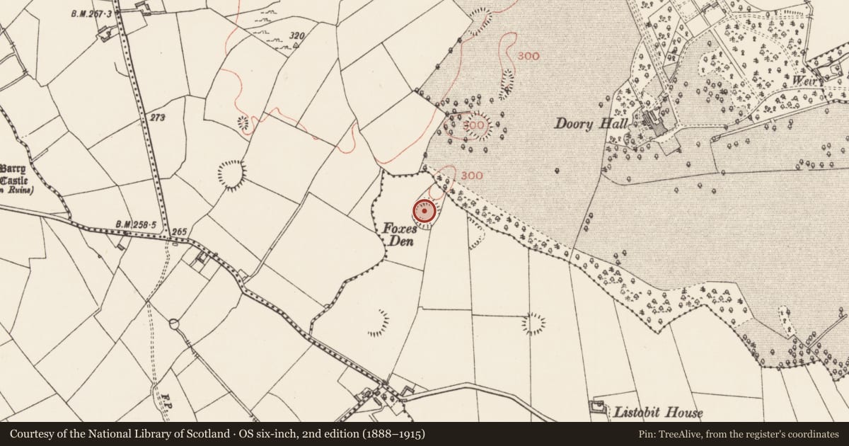 Ordnance Survey six-inch map, 2nd edition (1888–1915) covering the location of Ringfort - rath, Listobit, County Longford, with a pin at the register's coordinates