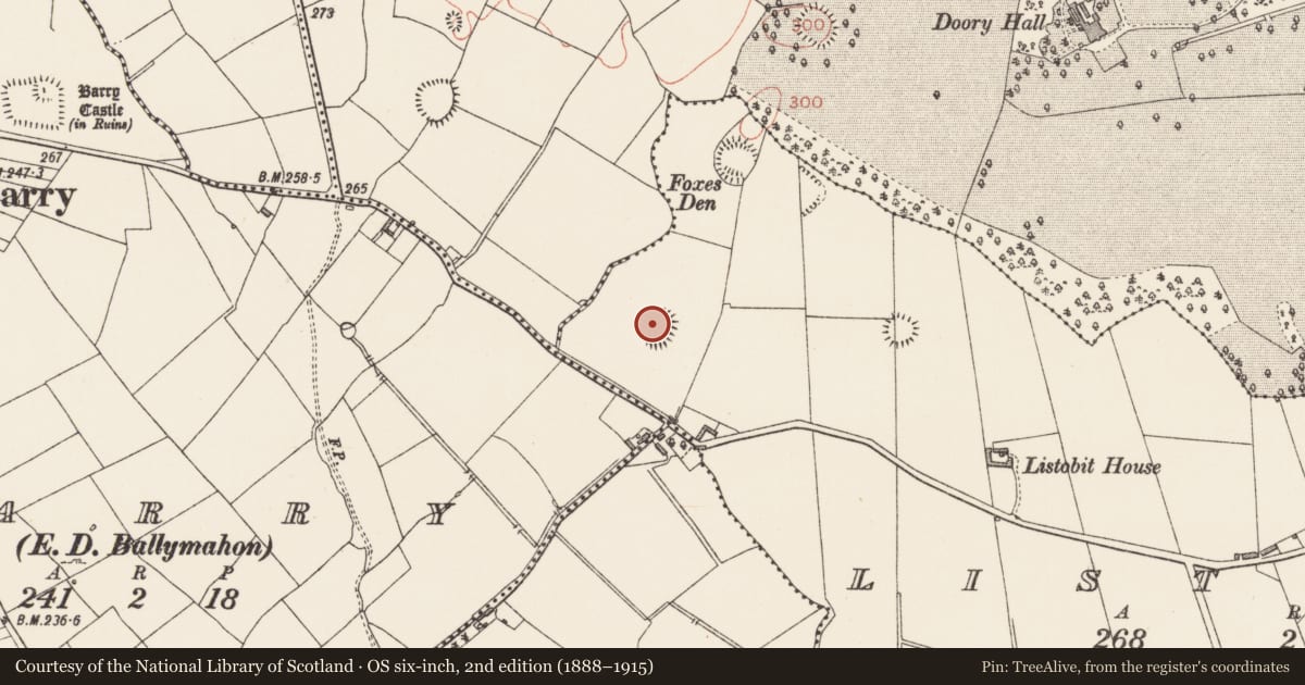 Ordnance Survey six-inch map, 2nd edition (1888–1915) covering the location of Ringfort - rath, Listobit, County Longford, with a pin at the register's coordinates