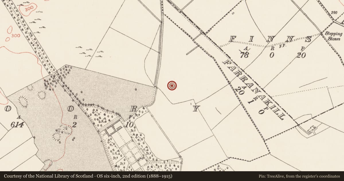 Ordnance Survey six-inch map, 2nd edition (1888–1915) covering the location of Ringfort - rath, Doory, County Longford, with a pin at the register's coordinates