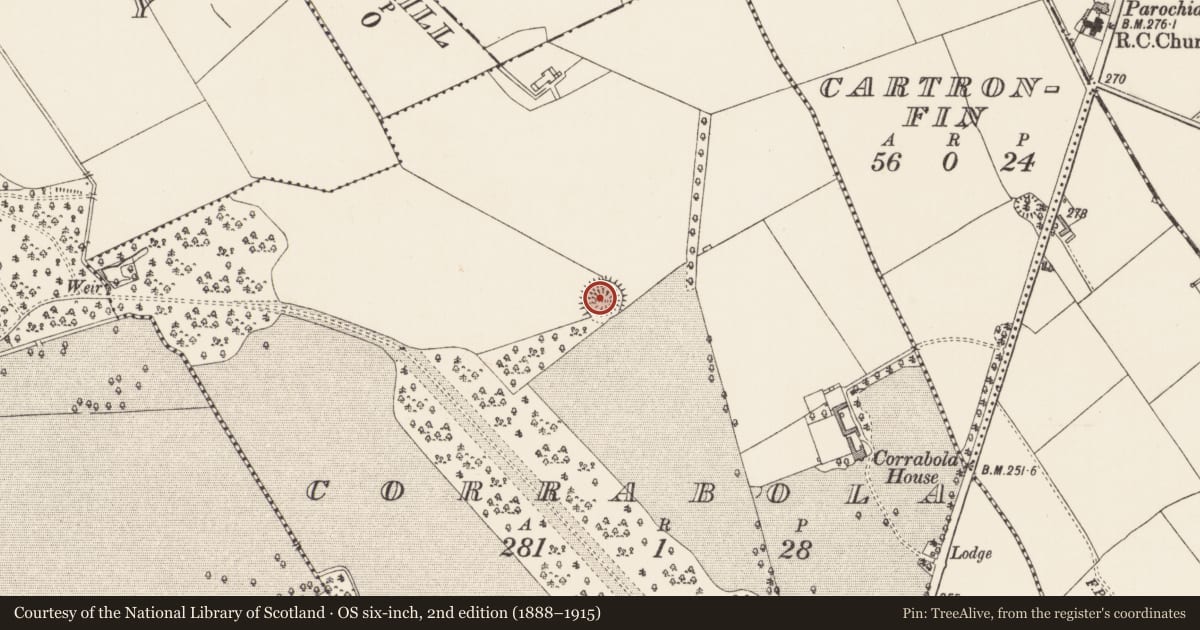 Ordnance Survey six-inch map, 2nd edition (1888–1915) covering the location of Ringfort - rath, Corrabola, County Longford, with a pin at the register's coordinates
