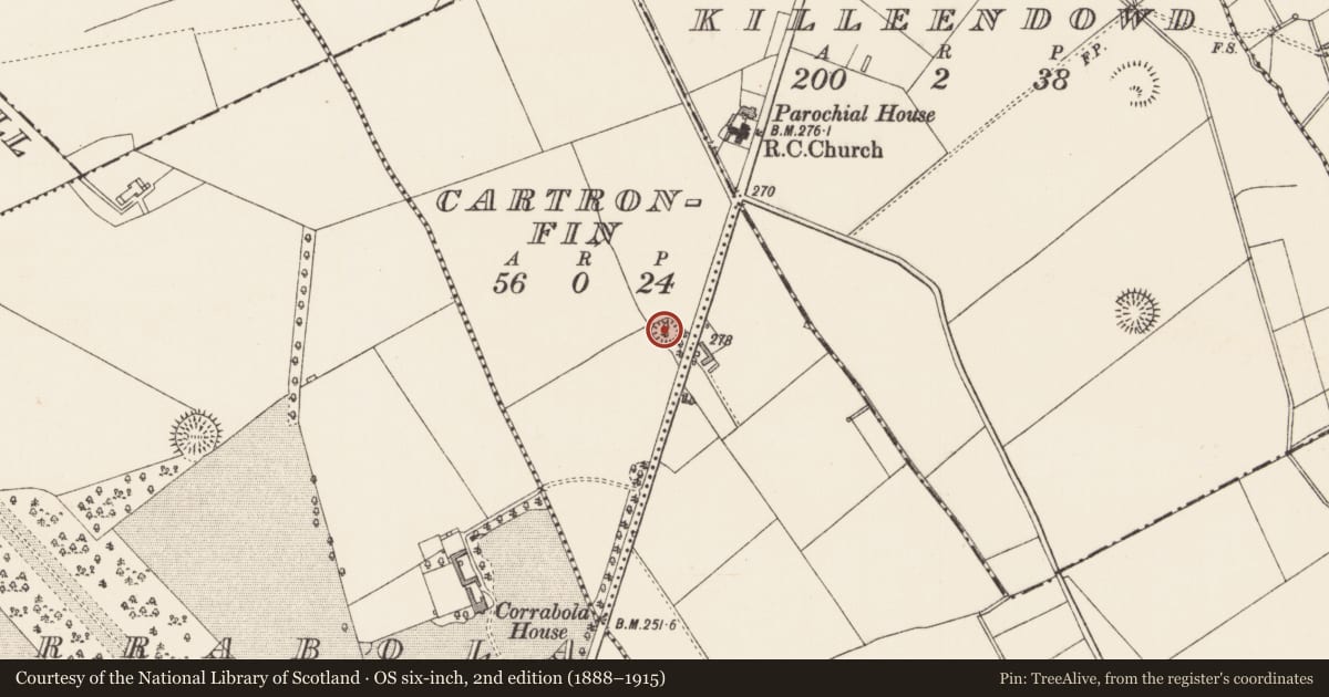 Ordnance Survey six-inch map, 2nd edition (1888–1915) covering the location of Ringfort - rath, Cartronfin, County Longford, with a pin at the register's coordinates