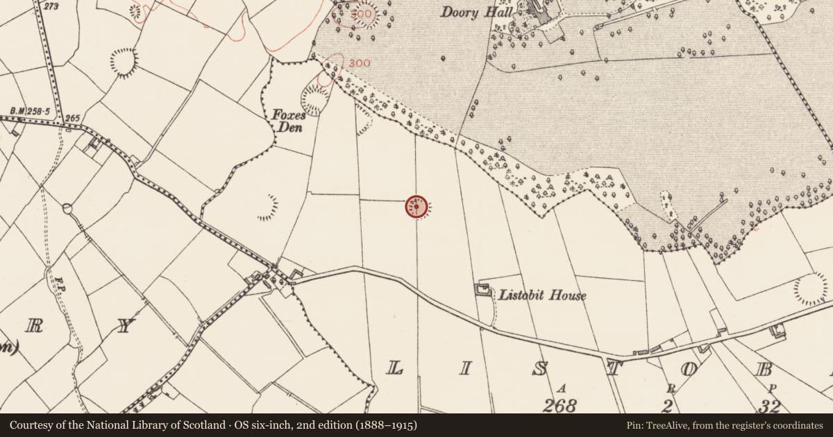 Ordnance Survey six-inch map, 2nd edition (1888–1915) covering the location of Ringfort - rath, Listobit, County Longford, with a pin at the register's coordinates