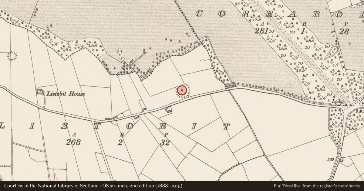 Ordnance Survey six-inch map, 2nd edition (1888–1915) covering the location of Ringfort - rath, Listobit, County Longford, with a pin at the register's coordinates