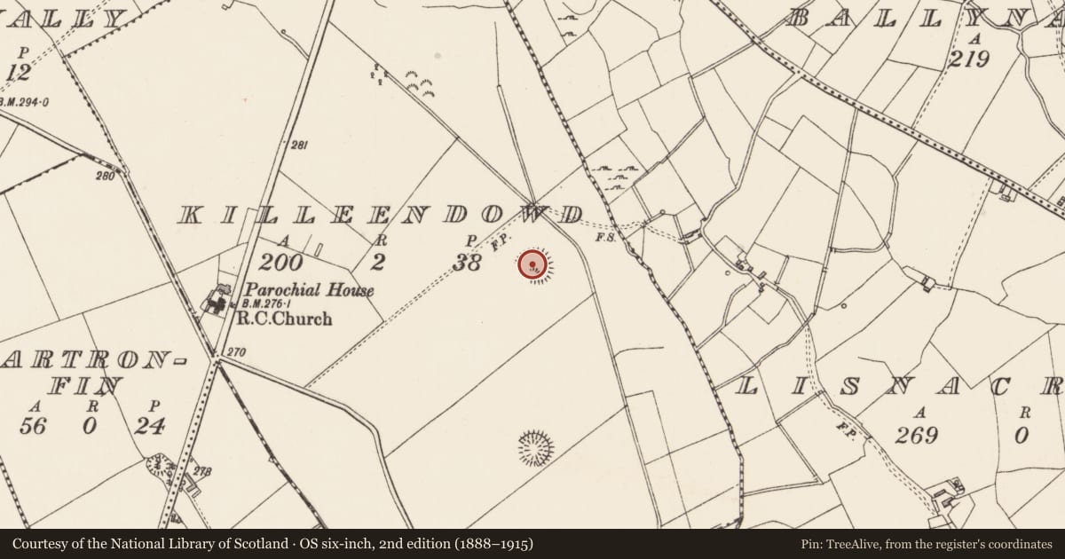 Ordnance Survey six-inch map, 2nd edition (1888–1915) covering the location of Ringfort - rath, Killeendowd, County Longford, with a pin at the register's coordinates