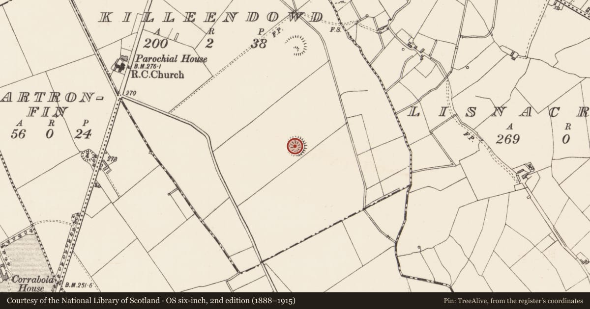 Ordnance Survey six-inch map, 2nd edition (1888–1915) covering the location of Ringfort - rath, Killeendowd, County Longford, with a pin at the register's coordinates