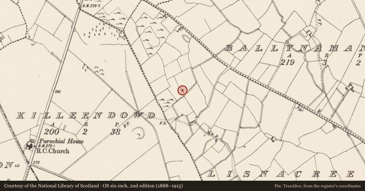 Ordnance Survey six-inch map, 2nd edition (1888–1915) covering the location of Ringfort - rath, Lisnacreevy, County Longford, with a pin at the register's coordinates