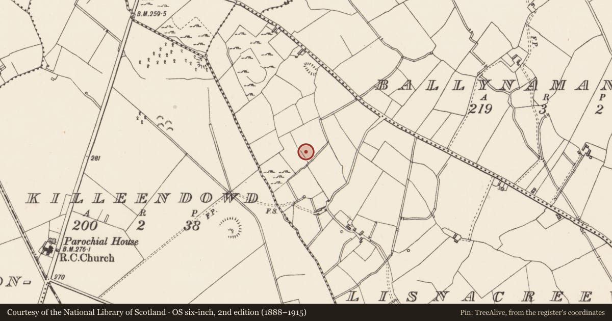 Ordnance Survey six-inch map, 2nd edition (1888–1915) covering the location of House - indeterminate date, Lisnacreevy, County Longford, with a pin at the register's coordinates