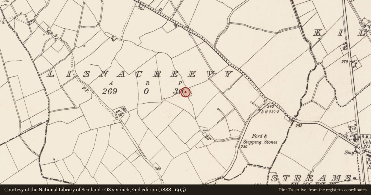 Ordnance Survey six-inch map, 2nd edition (1888–1915) covering the location of Ringfort - rath, Lisnacreevy, County Longford, with a pin at the register's coordinates
