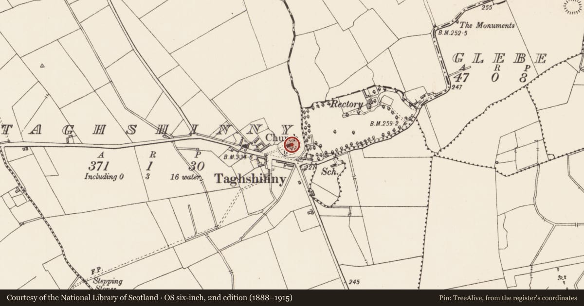Ordnance Survey six-inch map, 2nd edition (1888–1915) covering the location of Cross-slab, Taghshinny, County Longford, with a pin at the register's coordinates