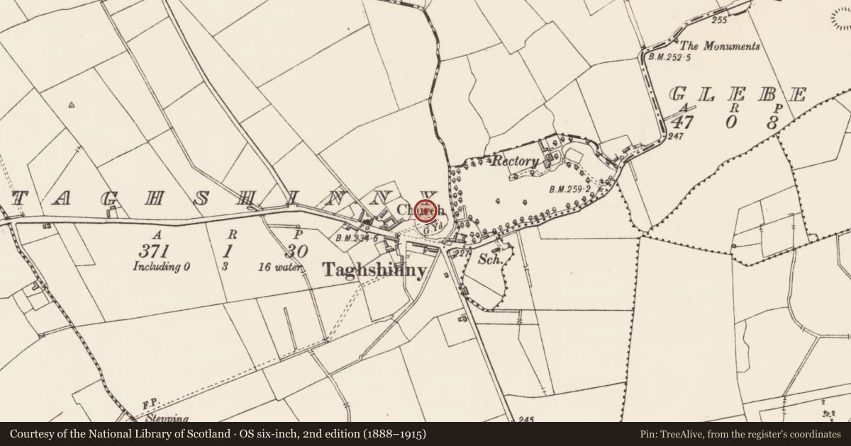 Ordnance Survey six-inch map, 2nd edition (1888–1915) covering the location of Cross-slab, Taghshinny, County Longford, with a pin at the register's coordinates