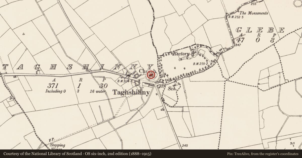Ordnance Survey six-inch map, 2nd edition (1888–1915) covering the location of Graveslab, Taghshinny, County Longford, with a pin at the register's coordinates