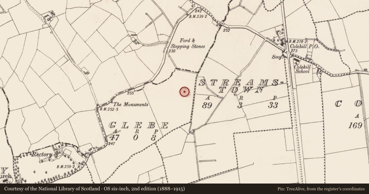 Ordnance Survey six-inch map, 2nd edition (1888–1915) covering the location of Ringfort - rath, Glebe, County Longford, with a pin at the register's coordinates