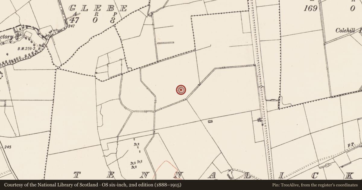 Ordnance Survey six-inch map, 2nd edition (1888–1915) covering the location of Ringfort - rath, Tennalick, County Longford, with a pin at the register's coordinates