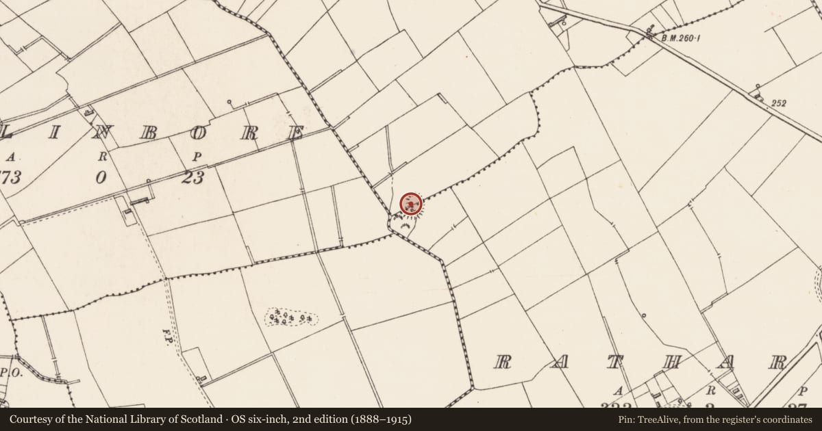 Ordnance Survey six-inch map, 2nd edition (1888–1915) covering the location of Ringfort - rath, Killeenboy, Ratharney, County Longford, with a pin at the register's coordinates