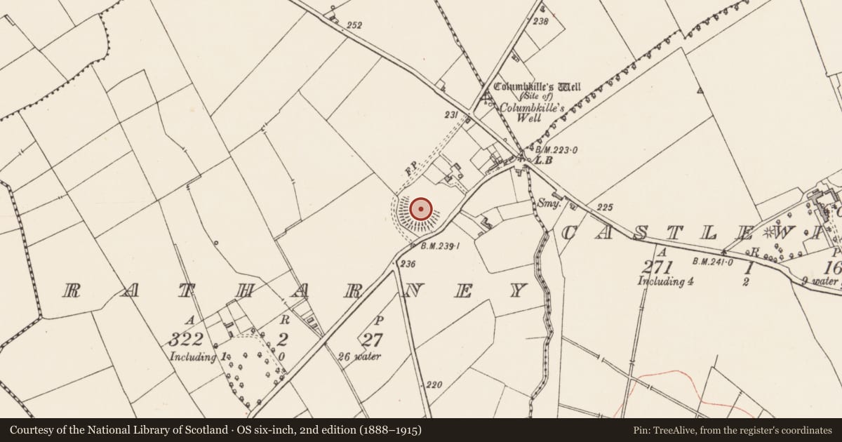 Ordnance Survey six-inch map, 2nd edition (1888–1915) covering the location of Enclosure, Ratharney, County Longford, with a pin at the register's coordinates