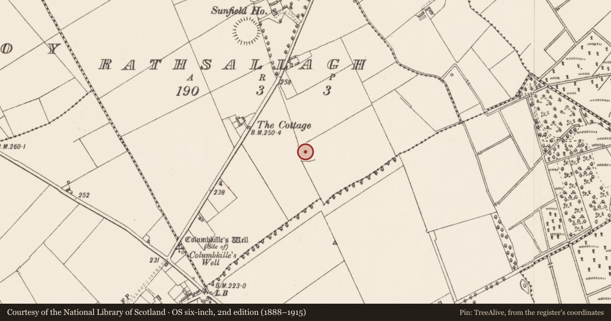 Ordnance Survey six-inch map, 2nd edition (1888–1915) covering the location of Ringfort - rath, Rathsallagh, County Longford, with a pin at the register's coordinates