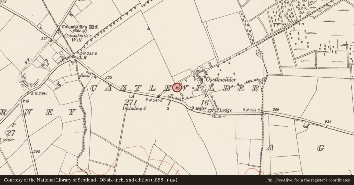 Ordnance Survey six-inch map, 2nd edition (1888–1915) covering the location of Mound, Castlewilder, County Longford, with a pin at the register's coordinates