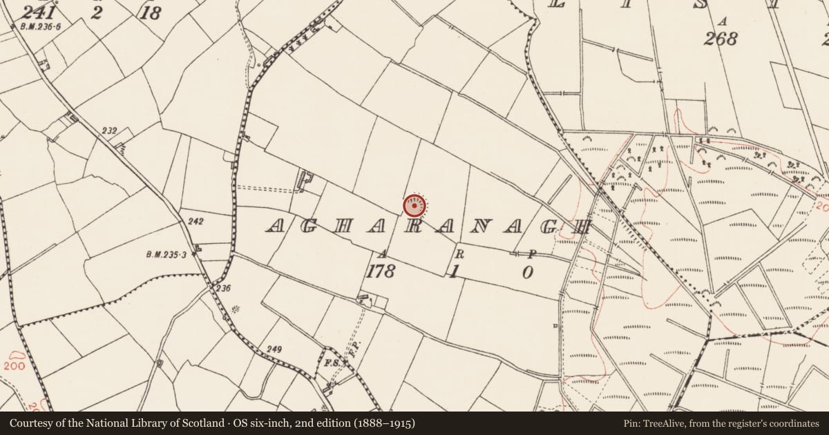 Ordnance Survey six-inch map, 2nd edition (1888–1915) covering the location of Ringfort - rath, Agharanagh, County Longford, with a pin at the register's coordinates