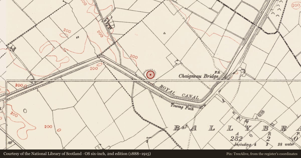 Ordnance Survey six-inch map, 2nd edition (1888–1915) covering the location of Ringfort - rath, Ballybranigan, County Longford, with a pin at the register's coordinates