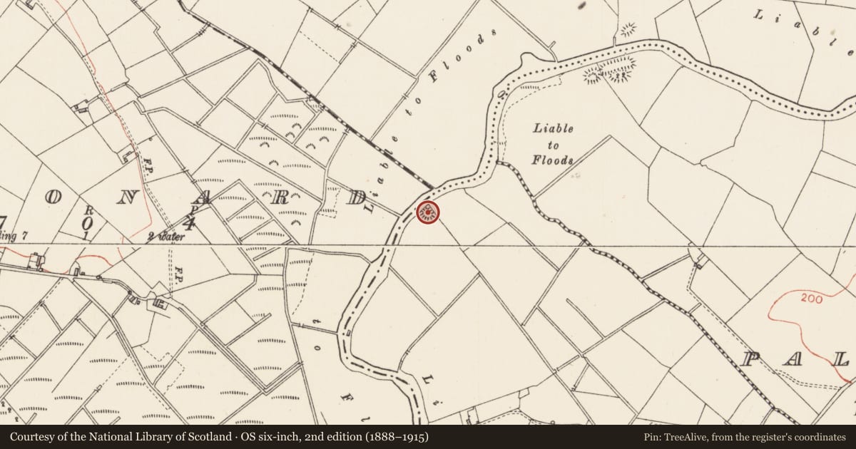 Ordnance Survey six-inch map, 2nd edition (1888–1915) covering the location of Mound, Pallas More, County Longford, with a pin at the register's coordinates