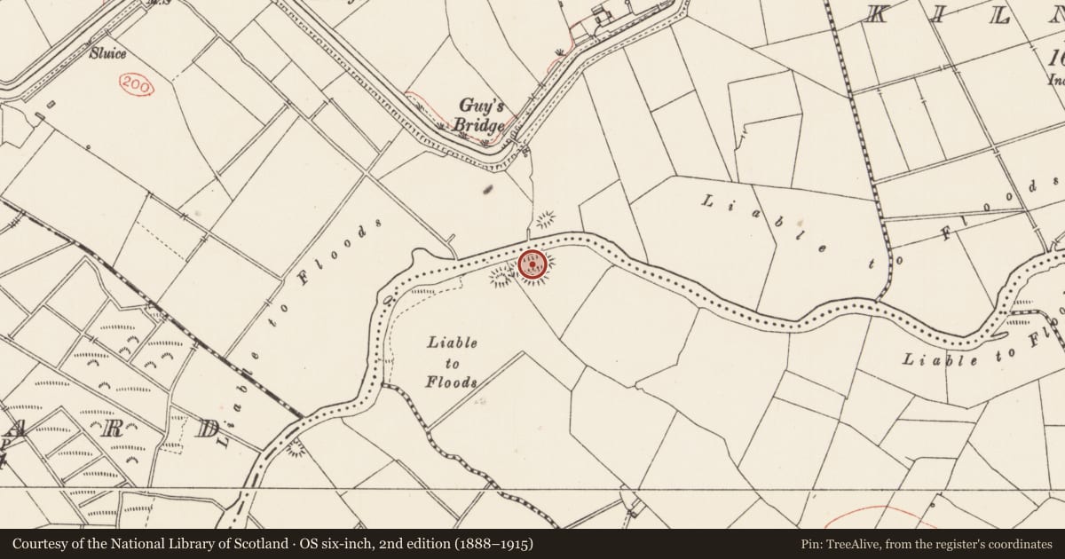 Ordnance Survey six-inch map, 2nd edition (1888–1915) covering the location of Castle - unclassified, Pallas Beg, County Longford, with a pin at the register's coordinates