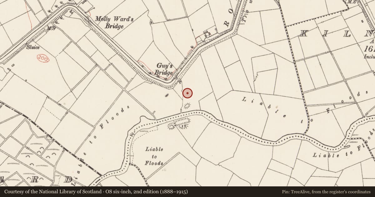 Ordnance Survey six-inch map, 2nd edition (1888–1915) covering the location of Ringfort - rath, Kilcurry, County Longford, with a pin at the register's coordinates