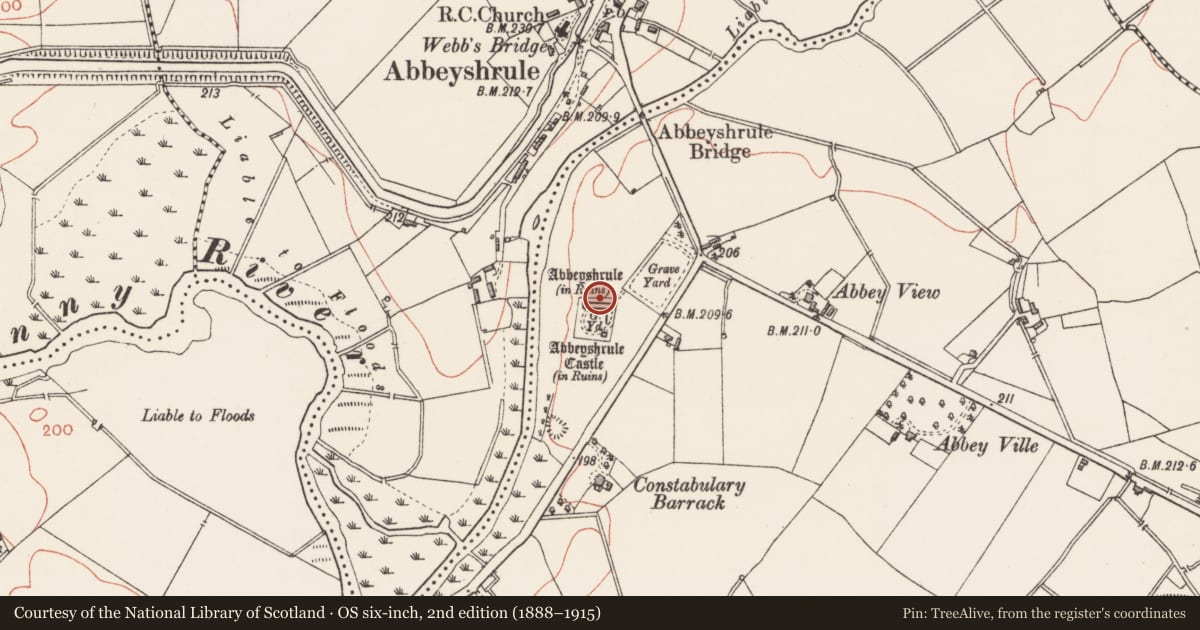 Ordnance Survey six-inch map, 2nd edition (1888–1915) covering the location of Religious house - Cistercian monks, Abbeyshrule, County Longford, with a pin at the register's coordinates
