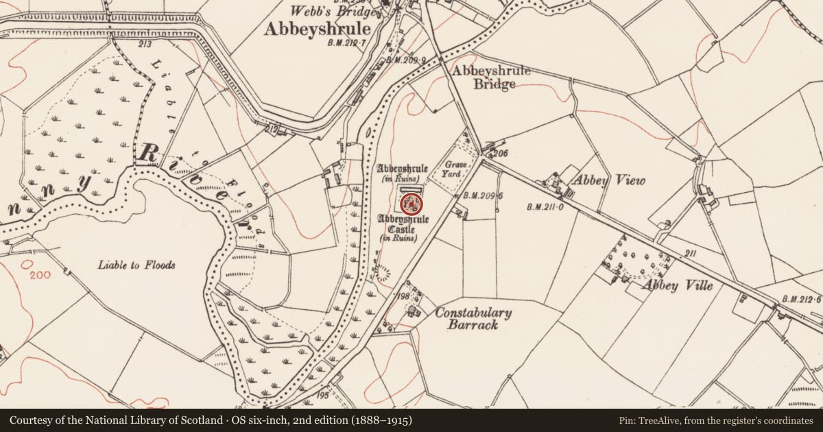 Ordnance Survey six-inch map, 2nd edition (1888–1915) covering the location of Castle - tower house, Abbeyshrule, County Longford, with a pin at the register's coordinates