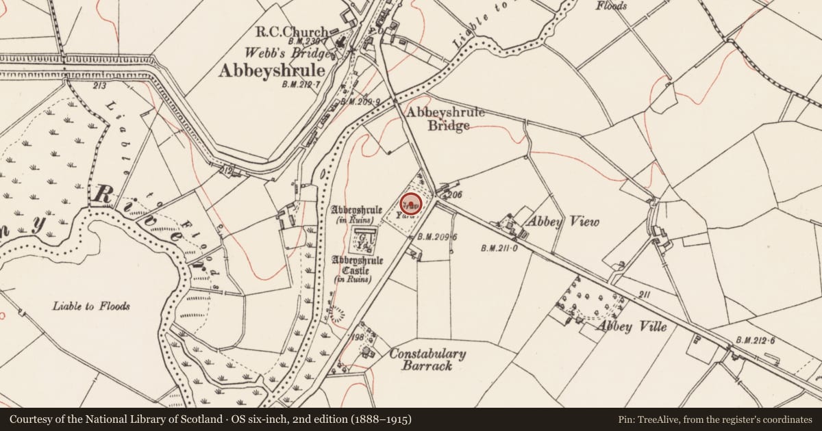 Ordnance Survey six-inch map, 2nd edition (1888–1915) covering the location of Burial ground, Abbeyshrule, County Longford, with a pin at the register's coordinates