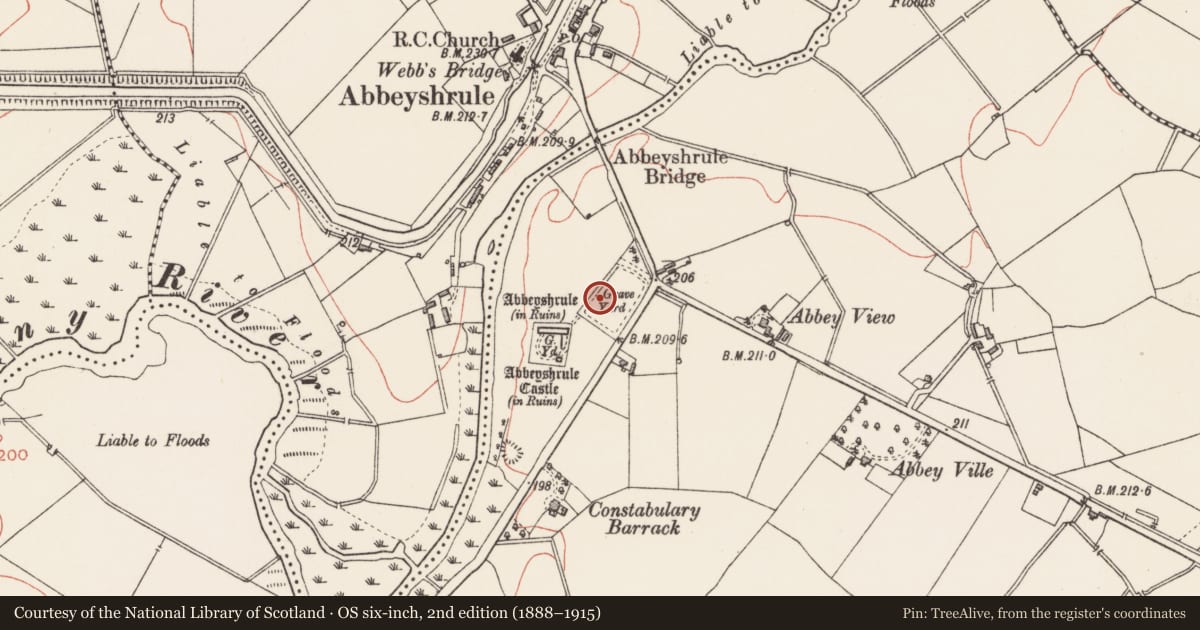 Ordnance Survey six-inch map, 2nd edition (1888–1915) covering the location of Cross-slab, Abbeyshrule, County Longford, with a pin at the register's coordinates