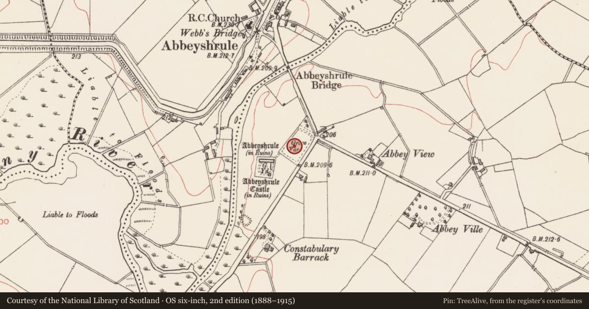 Ordnance Survey six-inch map, 2nd edition (1888–1915) covering the location of Graveslab, Abbeyshrule, County Longford, with a pin at the register's coordinates