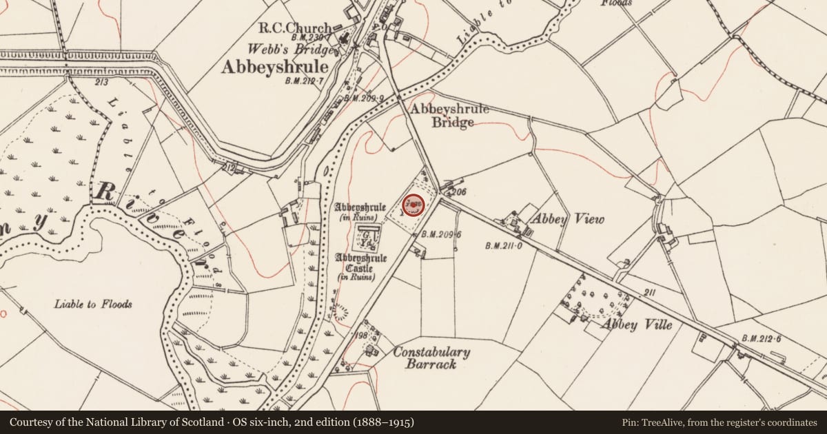 Ordnance Survey six-inch map, 2nd edition (1888–1915) covering the location of Architectural fragment, Abbeyshrule, County Longford, with a pin at the register's coordinates