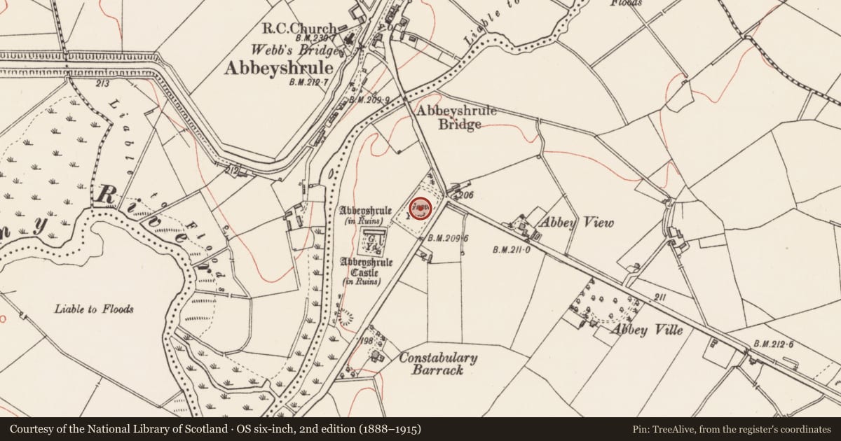 Ordnance Survey six-inch map, 2nd edition (1888–1915) covering the location of Cross - High cross, Abbeyshrule, County Longford, with a pin at the register's coordinates