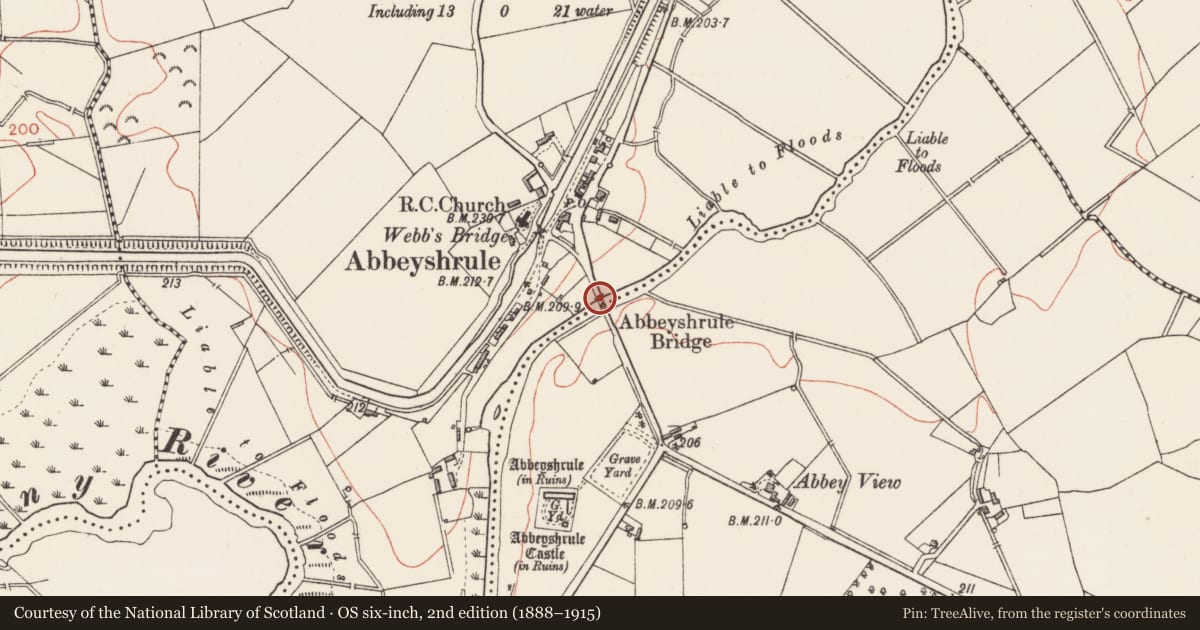 Ordnance Survey six-inch map, 2nd edition (1888–1915) covering the location of Bridge, Abbeyshrule, County Longford, with a pin at the register's coordinates