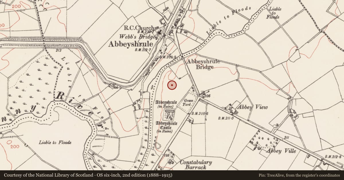 Ordnance Survey six-inch map, 2nd edition (1888–1915) covering the location of Earthwork, Abbeyshrule, County Longford, with a pin at the register's coordinates