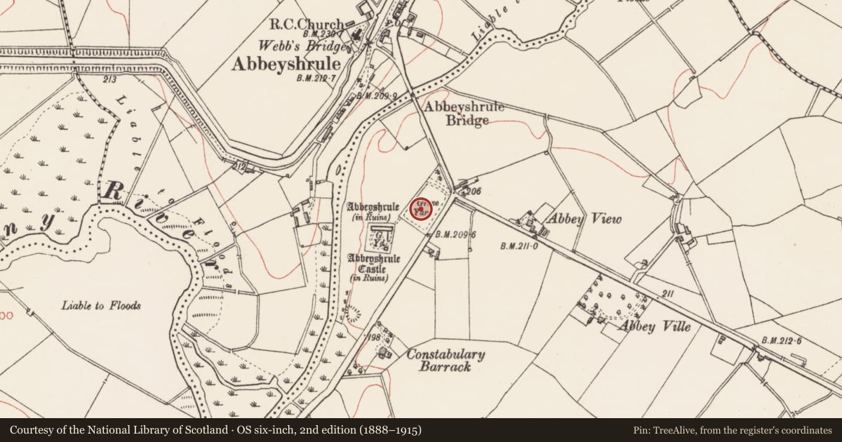 Ordnance Survey six-inch map, 2nd edition (1888–1915) covering the location of Graveslab, Abbeyshrule, County Longford, with a pin at the register's coordinates