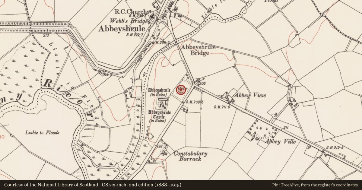 Ordnance Survey six-inch map, 2nd edition (1888–1915) covering the location of Graveslab, Abbeyshrule, County Longford, with a pin at the register's coordinates