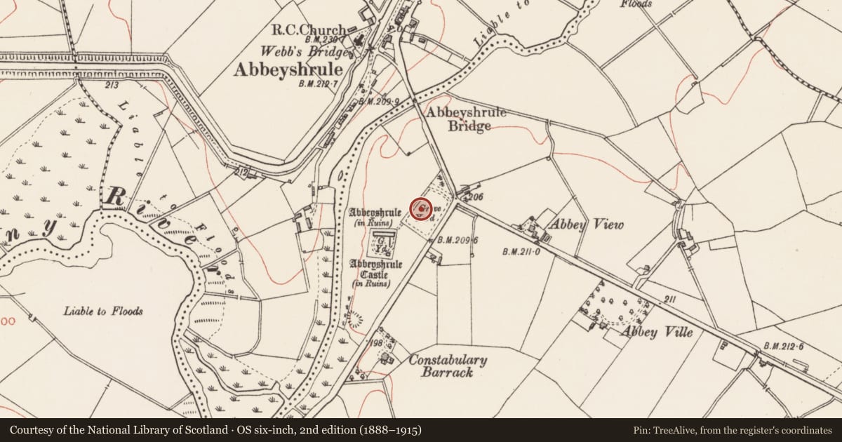 Ordnance Survey six-inch map, 2nd edition (1888–1915) covering the location of Graveslab, Abbeyshrule, County Longford, with a pin at the register's coordinates