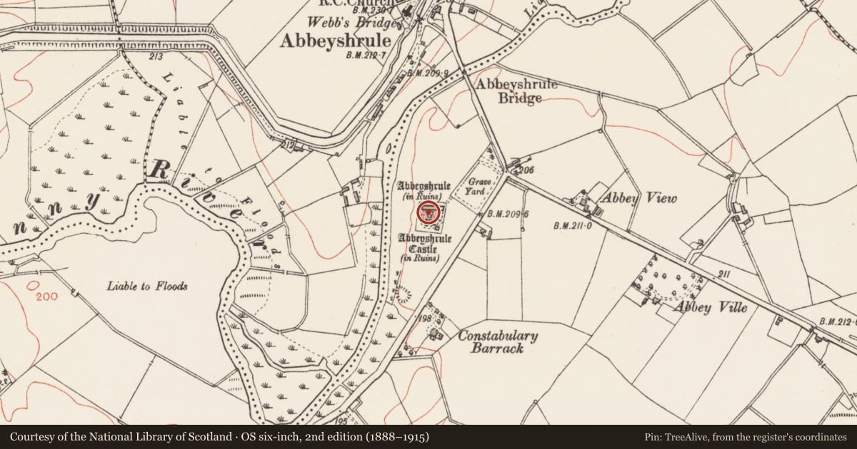 Ordnance Survey six-inch map, 2nd edition (1888–1915) covering the location of Graveyard, Abbeyshrule, County Longford, with a pin at the register's coordinates